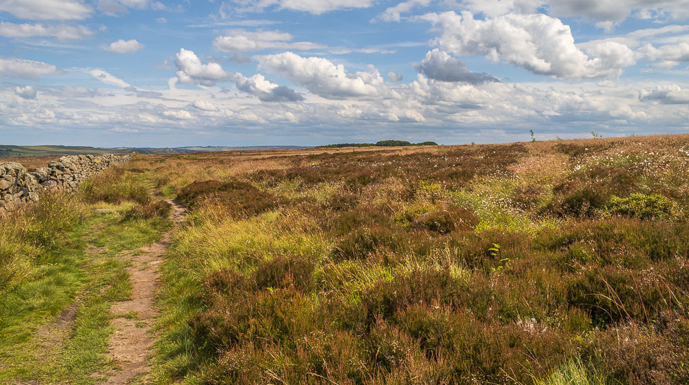 Eyam Moor Eyam Moor